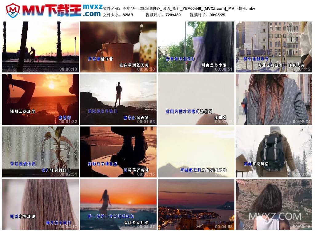 李中华-一颗烙印的心_国语_流行_YEA00446